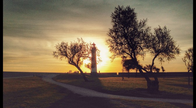 « Dans l’île de Ré, ma belle adorée je t’emmènerai ». Tour de l’île de Ré