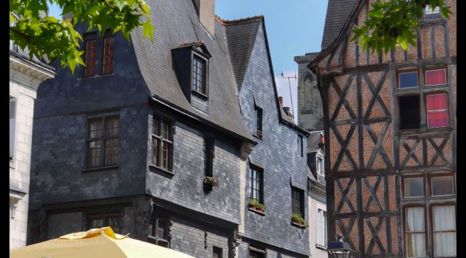 Marathon Touraine Loire-Valley, « Mes yeux furent attirés à l’horizon par la belle lame d’or de la Loire »