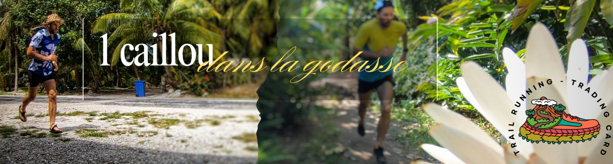 1 CAILLOU DANS LA GODASSE